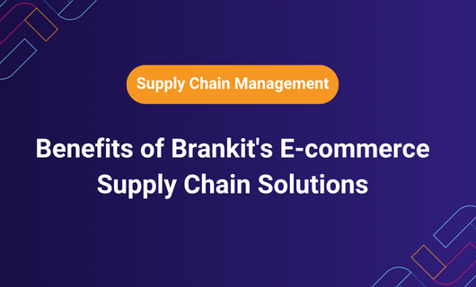 Benefits of Brankit's E-commerce Supply Chain Solutions