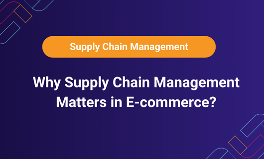 Visual with the question “Why Supply Chain Management Matters in E-commerce?” under a labeled heading