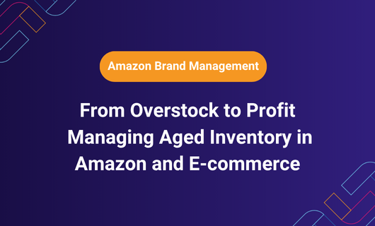From Overstock to Profit: Managing Aged Inventory in Amazon and E-commerce
