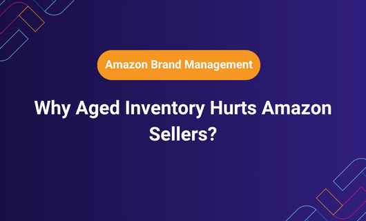 Why Aged Inventory Hurts Amazon Sellers?